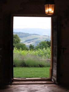 View from doorway Chateau Bagnols