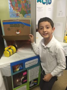 Science Fair at School